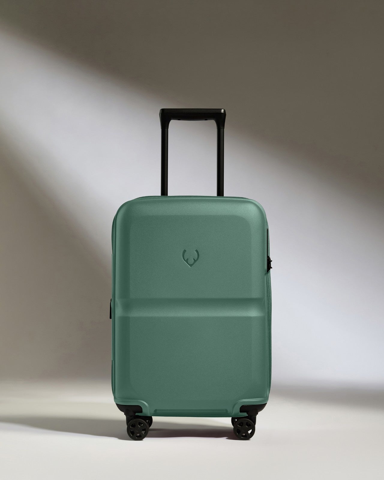 Expandable Carry-on Luggage in Seagrass Green - Single Stripe