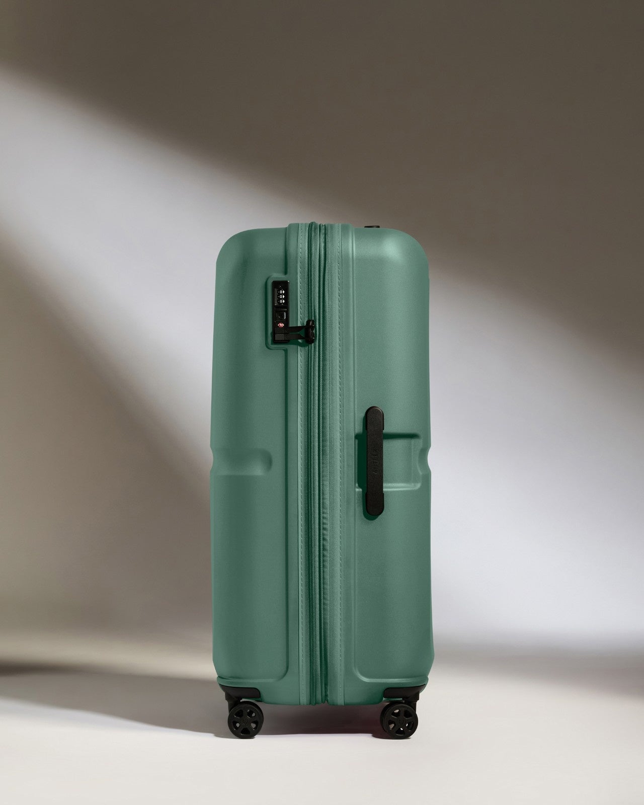 Large Luggage in Seagrass Green - Single Stripe