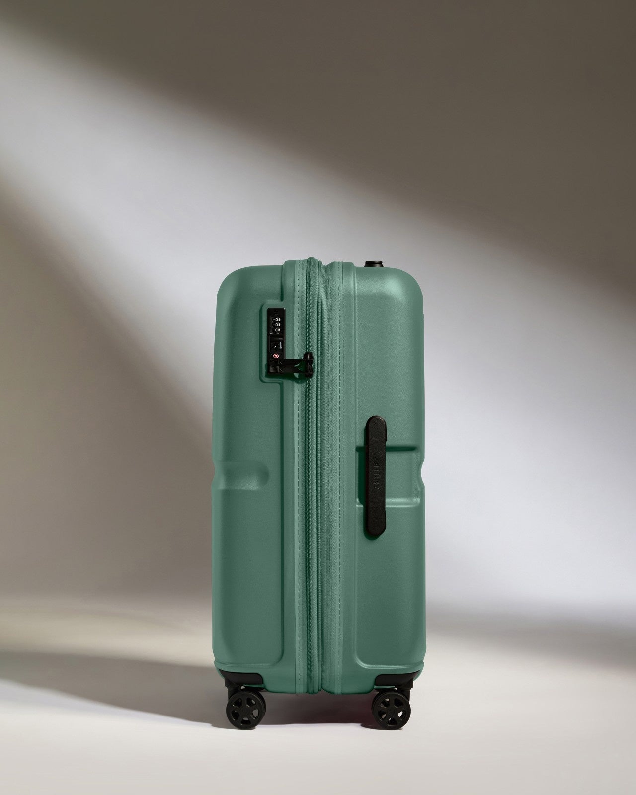 Medium Luggage in Seagrass Green - Single Stripe