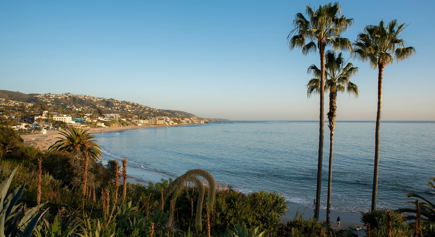 Antler Travels: Laguna Beach, Stephanie Arant