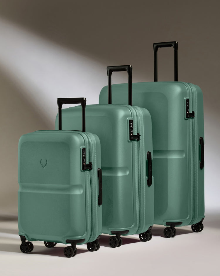 Expandable Carry-on Luggage Set in Seagrass Green - Single Stripe