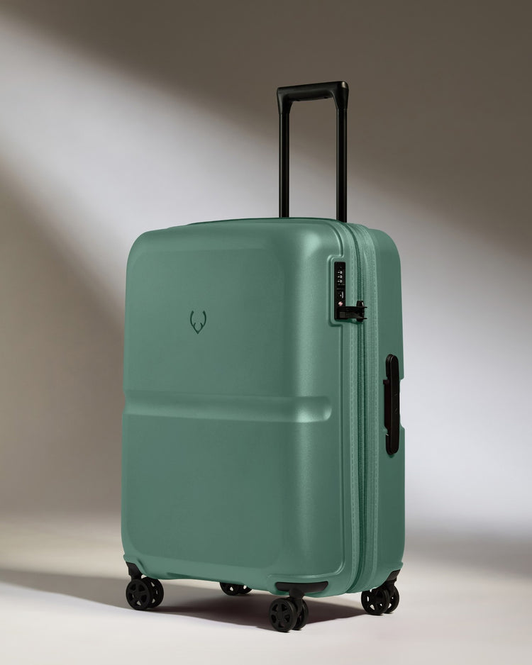 Medium Luggage in Seagrass Green - Single Stripe