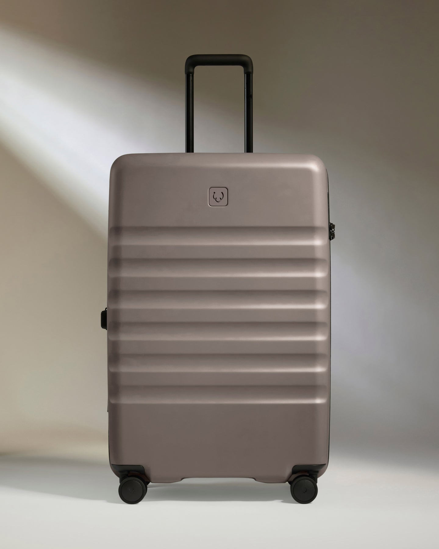 Large Luggage in Pebble Grey - Icon Stripe