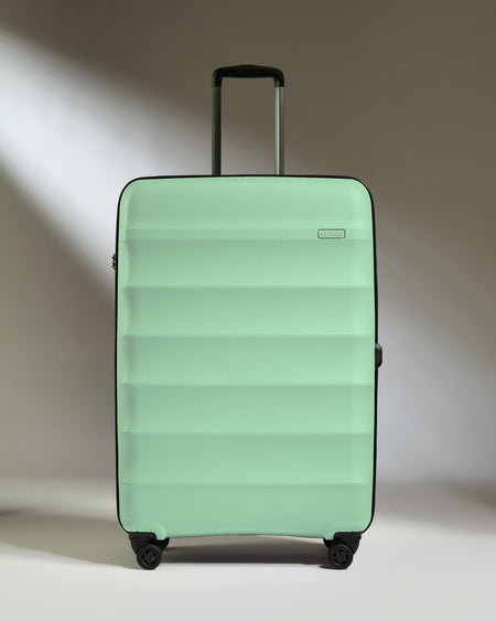 Large Luggage in Mineral - Juno