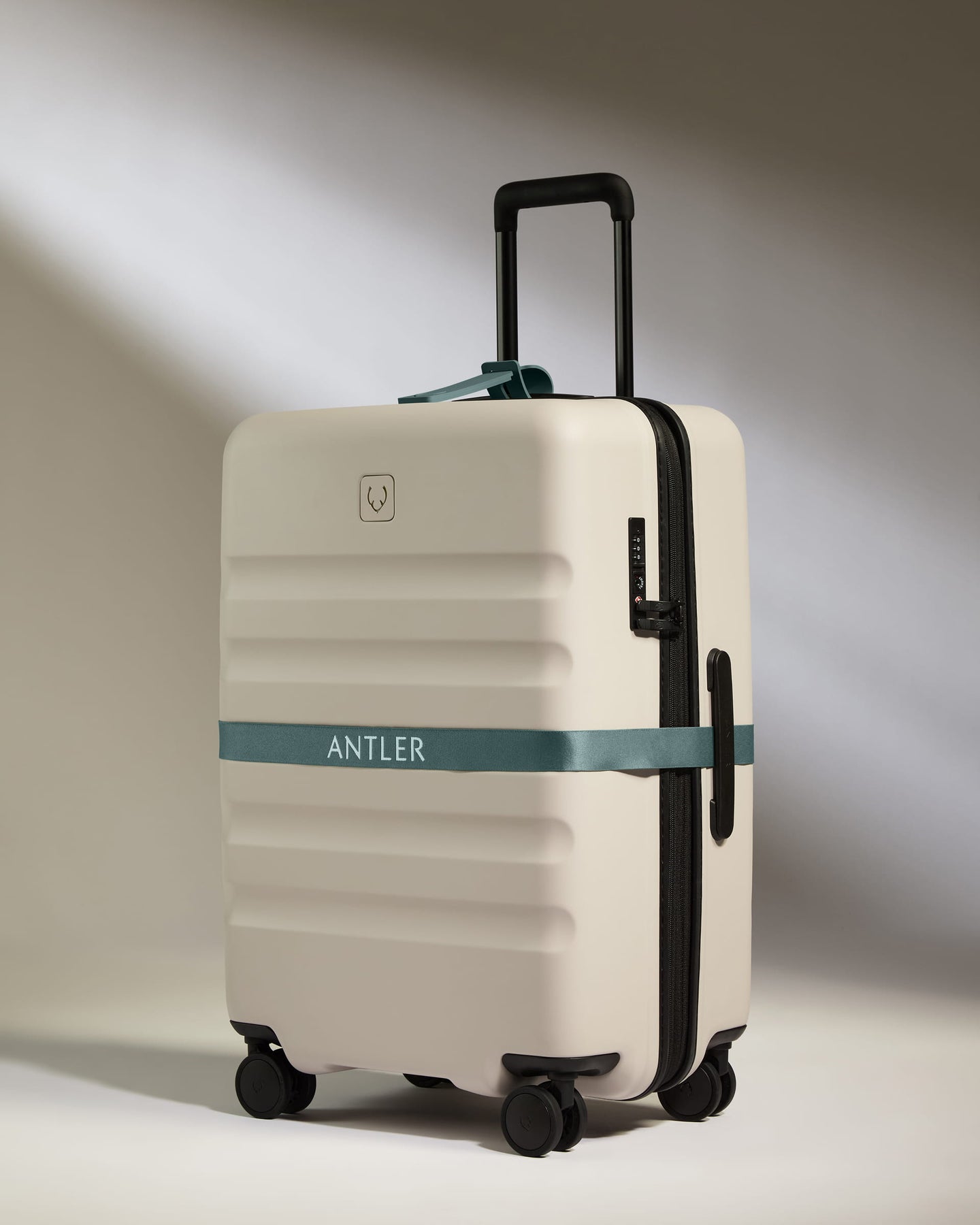 Luggage Strap in Glade Blue