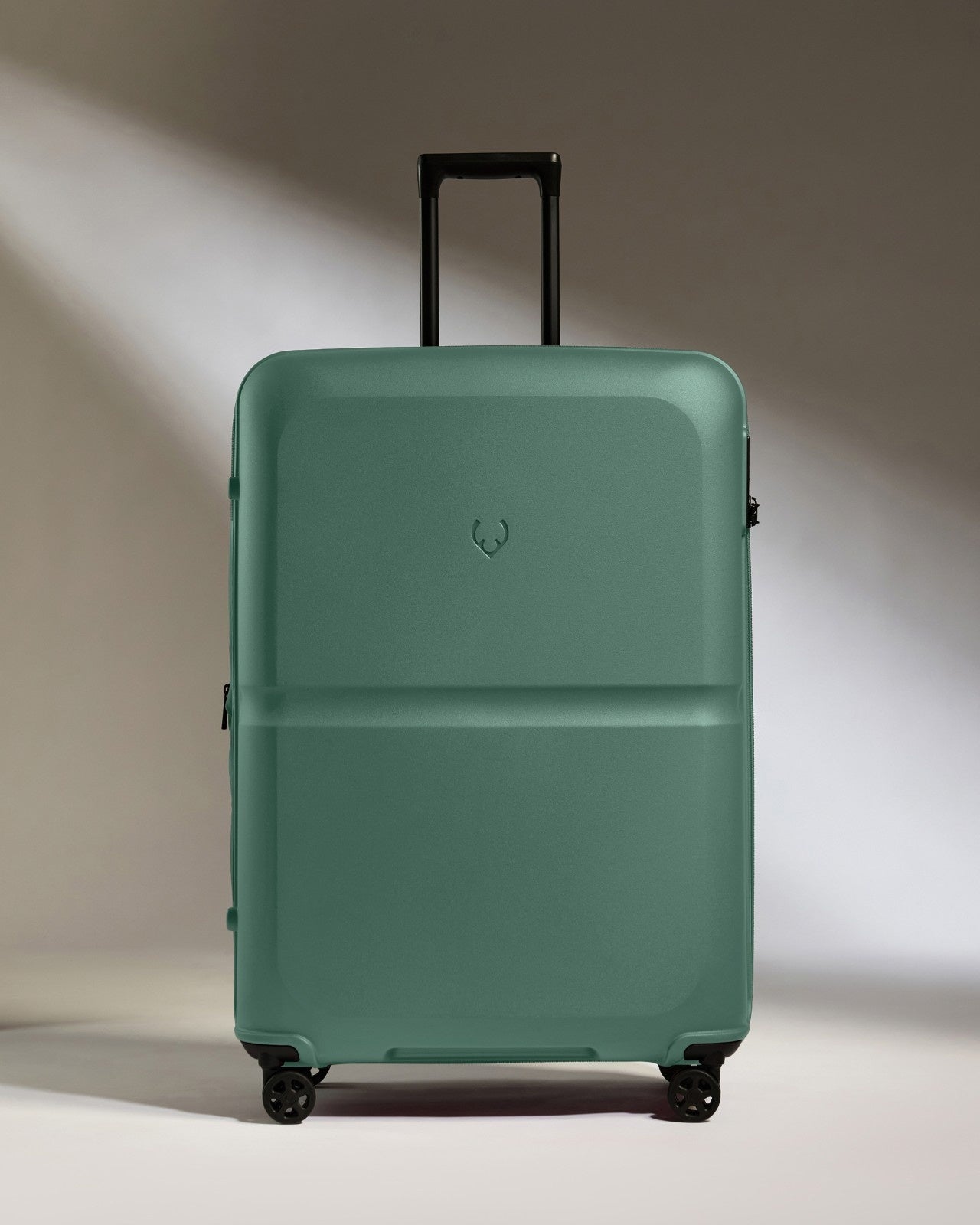 Large Luggage in Seagrass Green - Single Stripe