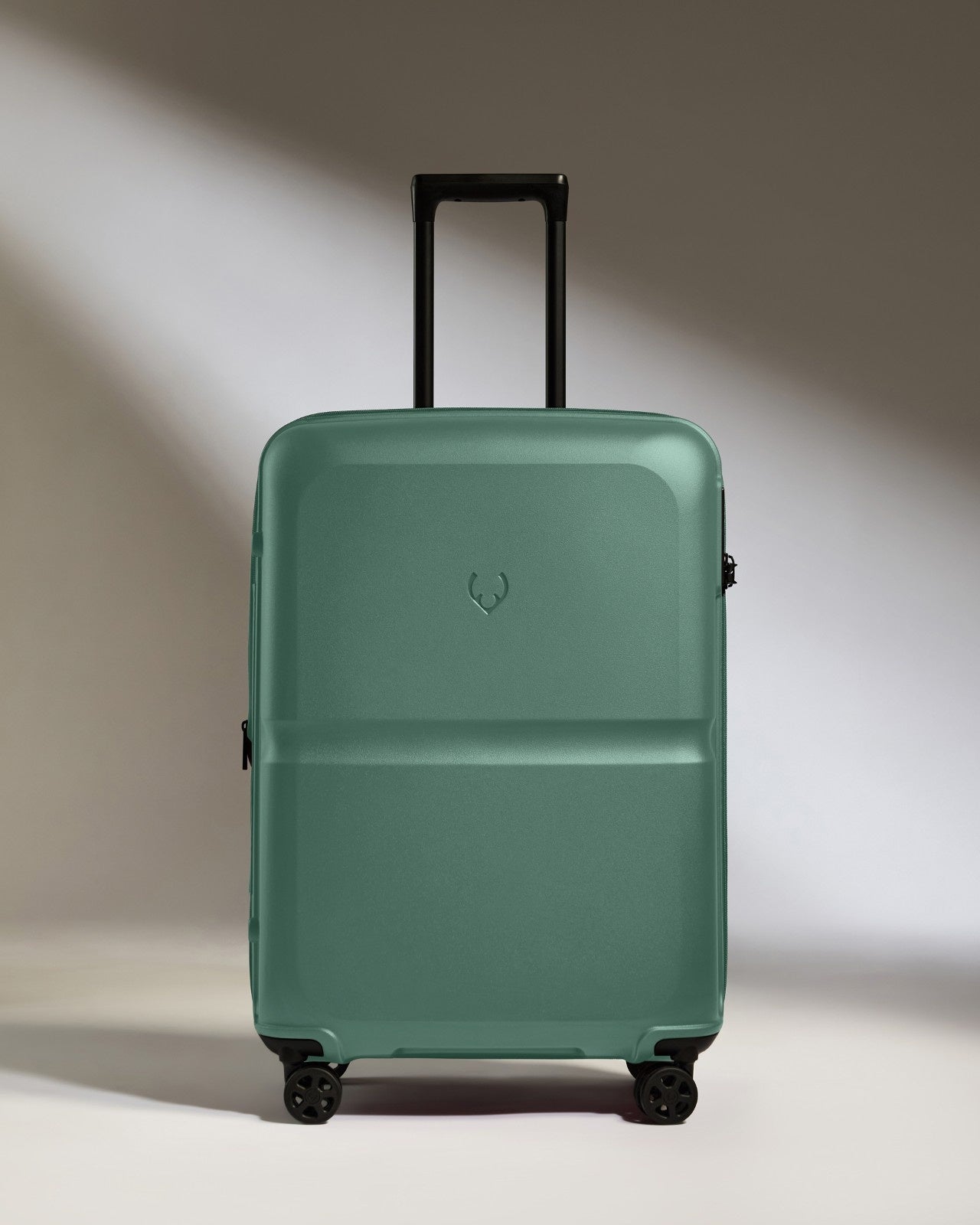 Medium Luggage in Seagrass Green - Single Stripe