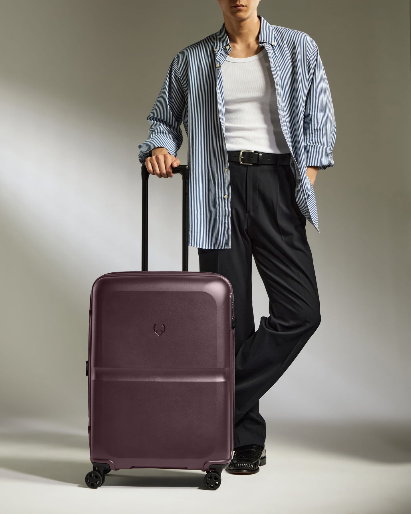 Medium Luggage in Lagoon Purple - Single Stripe