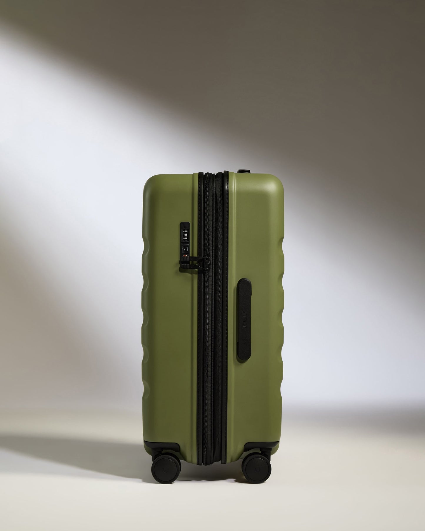 Medium Luggage in Fern Green - Icon Stripe