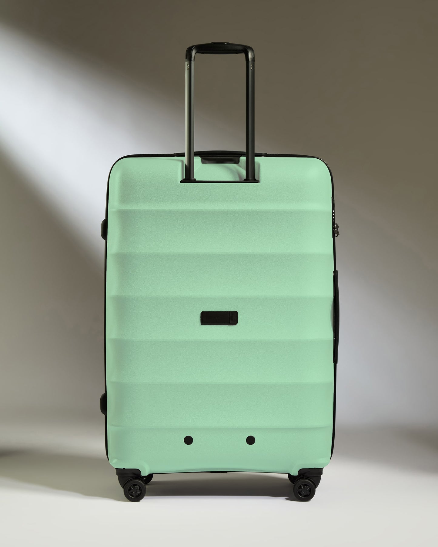 Large Luggage in Mineral - Juno