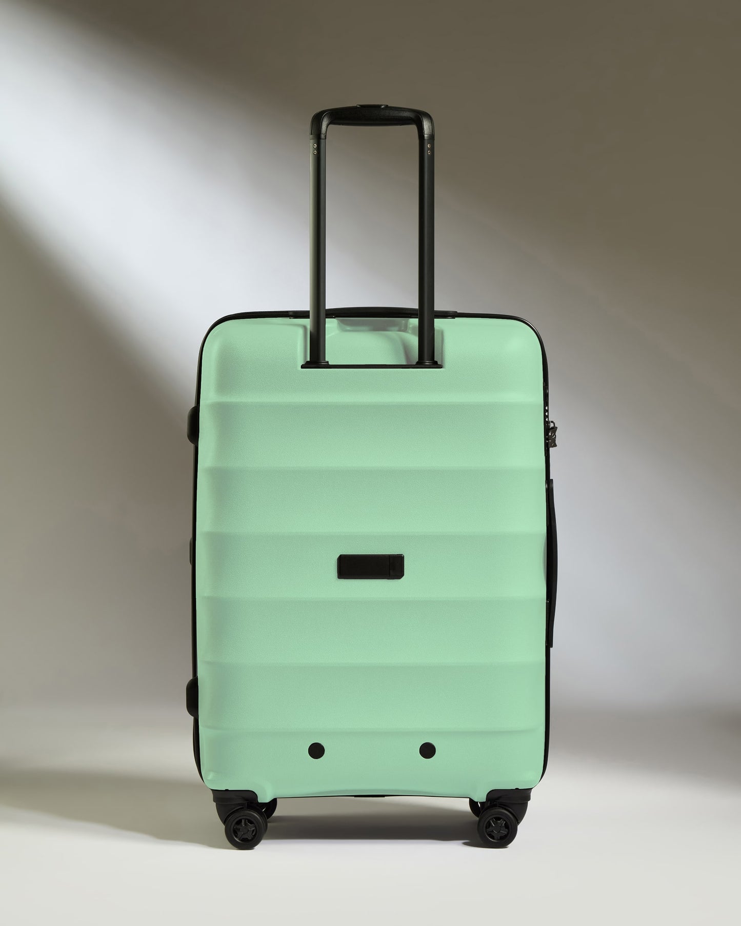 Medium Luggage in Mineral - Juno