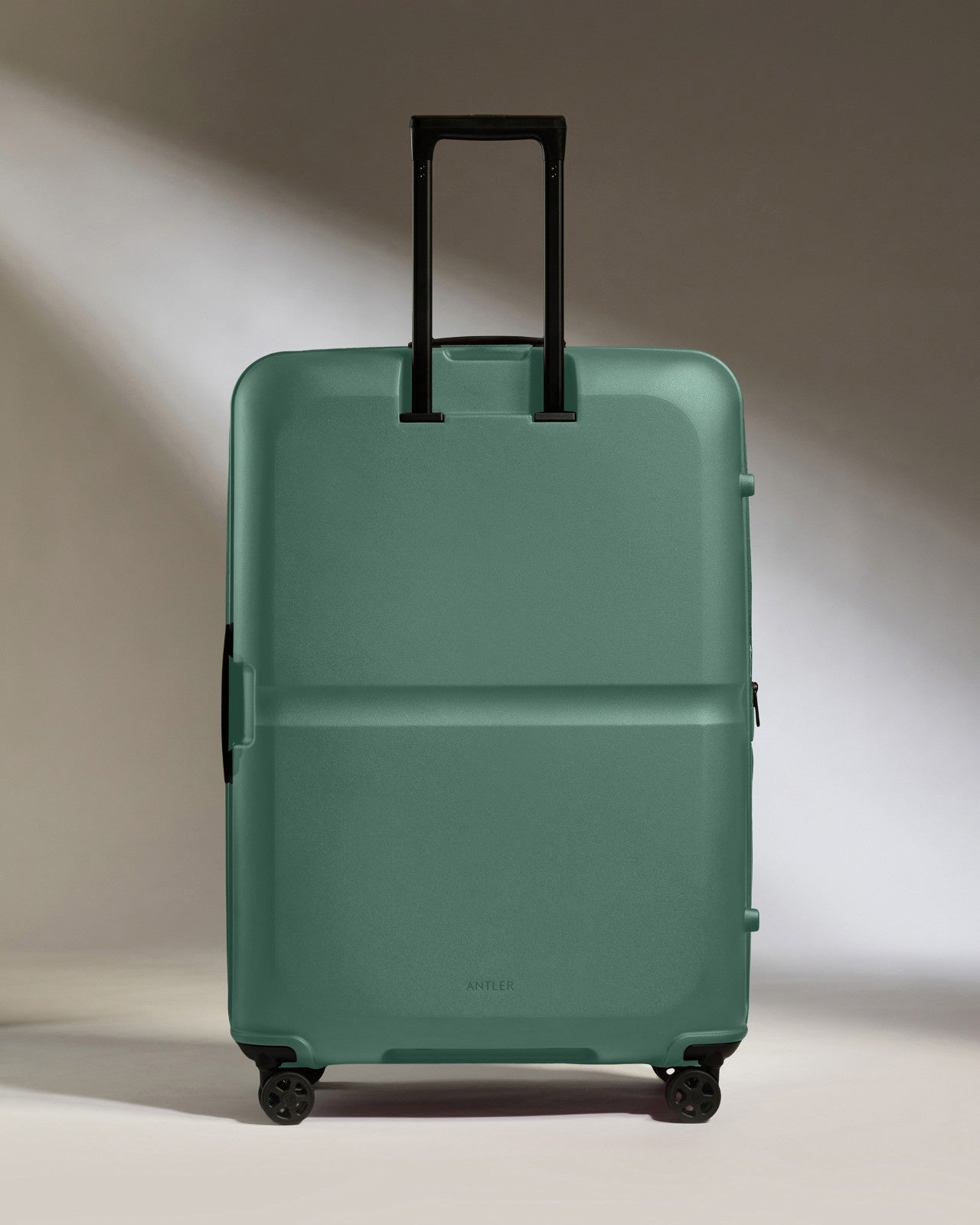 Large Luggage in Seagrass Green - Single Stripe