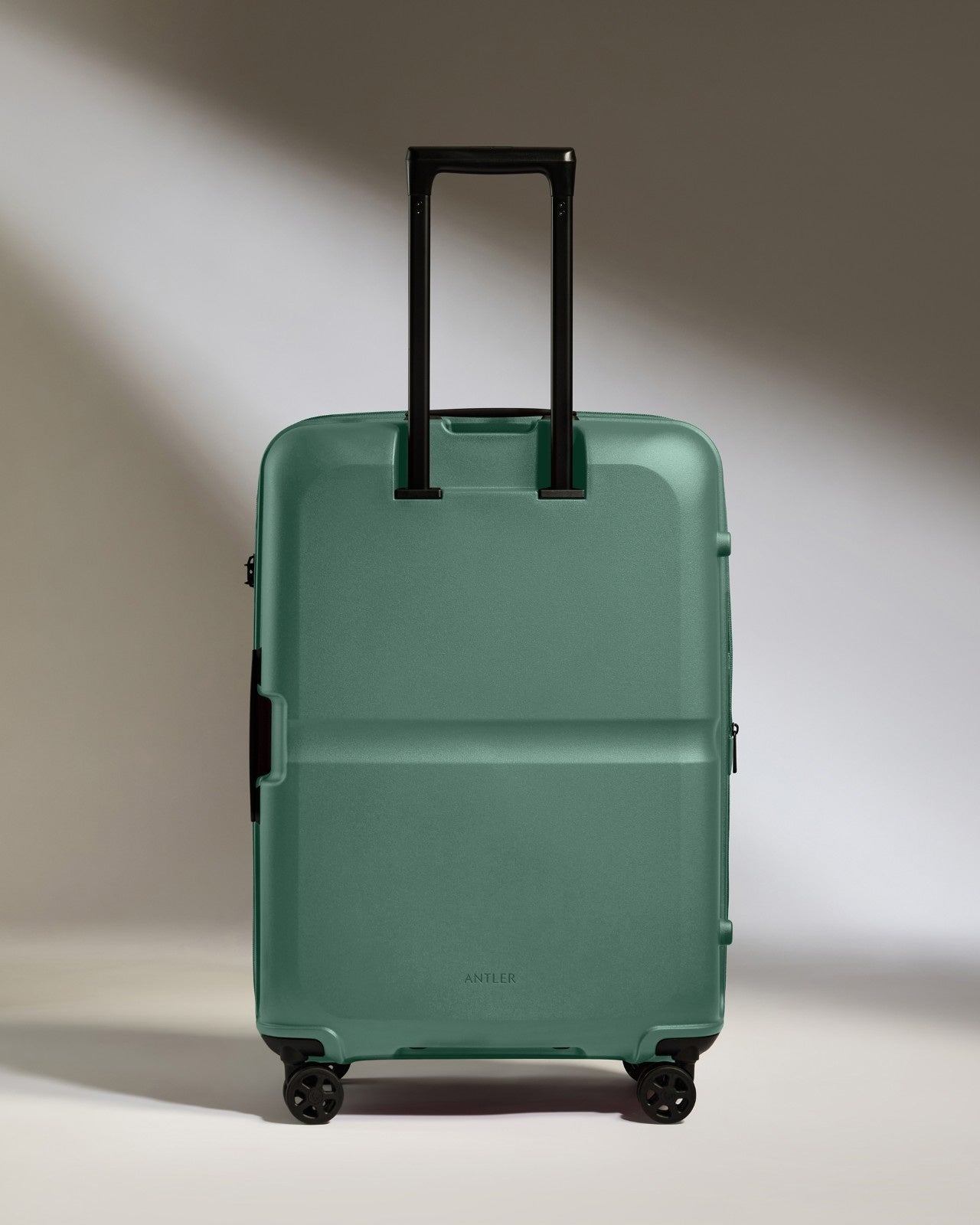 Medium Luggage in Seagrass Green - Single Stripe