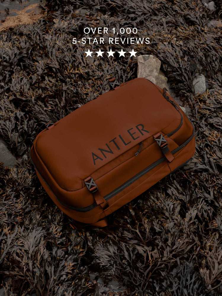 Pre Fall PLP 1 | Reviews 2026